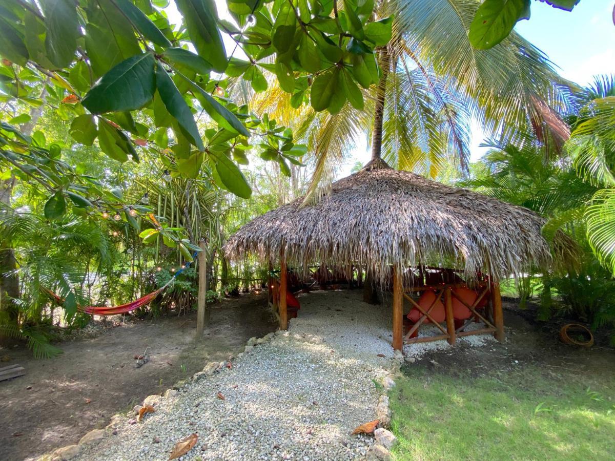 Tropical Village ปุนตากานา ภายนอก รูปภาพ